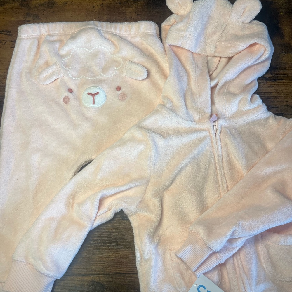 Carters Pink Bear Hoodie and Pants Set